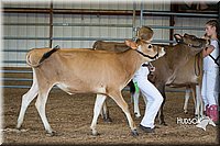 LCFAIR15-0744.jpg