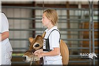 LCFAIR15-0745.jpg