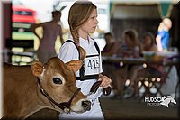 LCFAIR15-0751.jpg