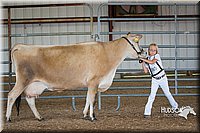 LCFAIR15-0753.jpg