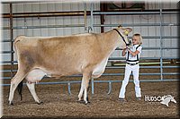 LCFAIR15-0754.jpg