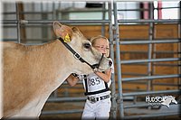 LCFAIR15-0755.jpg