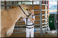 LCFAIR15-0756.jpg