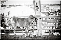 LCFAIR15-0859.jpg