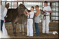 LCFAIR15-0860.jpg