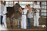LCFAIR15-0861.jpg