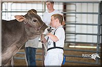 LCFAIR15-0862.jpg