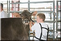 LCFAIR15-0863.jpg
