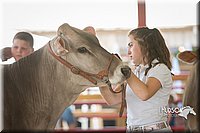 LCFAIR15-0864.jpg