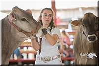 LCFAIR15-0865.jpg