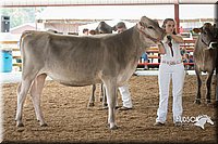 LCFAIR15-0866.jpg