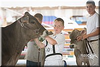 LCFAIR15-0868.jpg