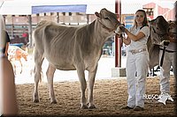 LCFAIR15-0869.jpg