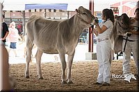LCFAIR15-0870.jpg
