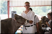 LCFAIR15-0872.jpg