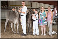 LCFAIR15-0876.jpg
