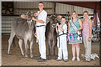 LCFAIR15-0877.jpg