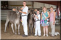 LCFAIR15-0878.jpg
