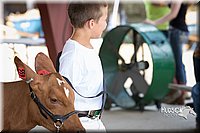 LCFAIR15-0883.jpg