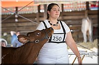 LCFAIR15-0884.jpg