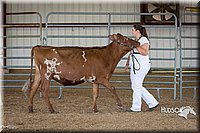 LCFAIR15-0886.jpg