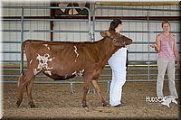 LCFAIR15-0887.jpg