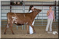 LCFAIR15-0888.jpg