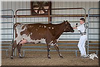 LCFAIR15-0891.jpg