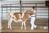 LCFAIR15-0911.jpg