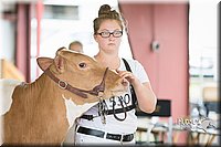 LCFAIR15-0915.jpg