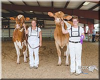 LCFAIR15-0943.jpg