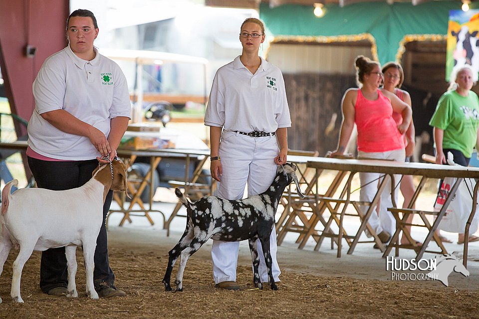 LCFAIR15-1005.jpg