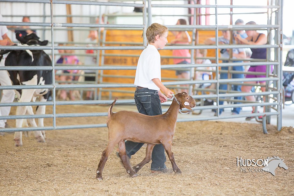 LCFAIR15-1033.jpg