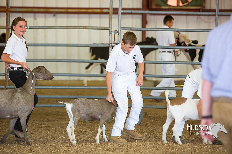 LCFAIR15-1040.jpg