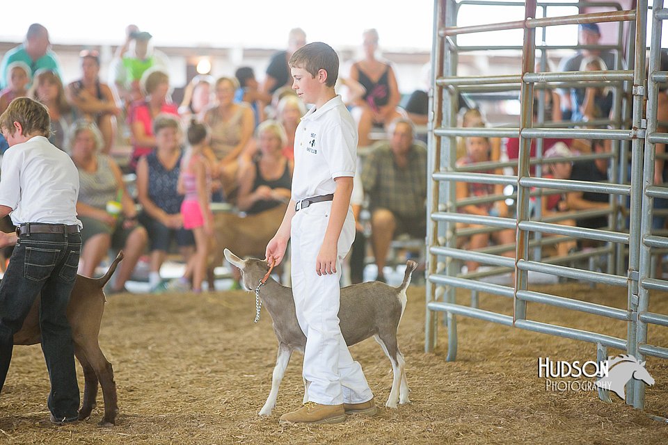 LCFAIR15-1057.jpg