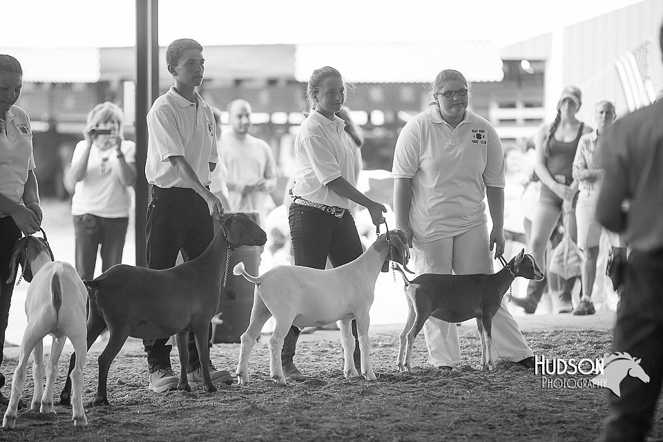 LCFAIR15-1059.jpg
