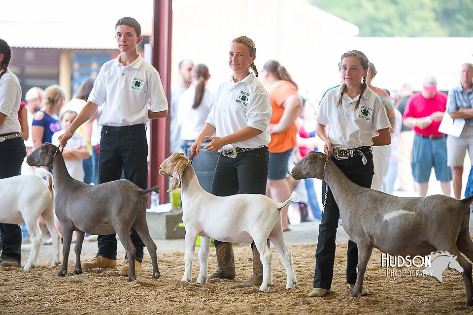 LCFAIR15-1077.jpg