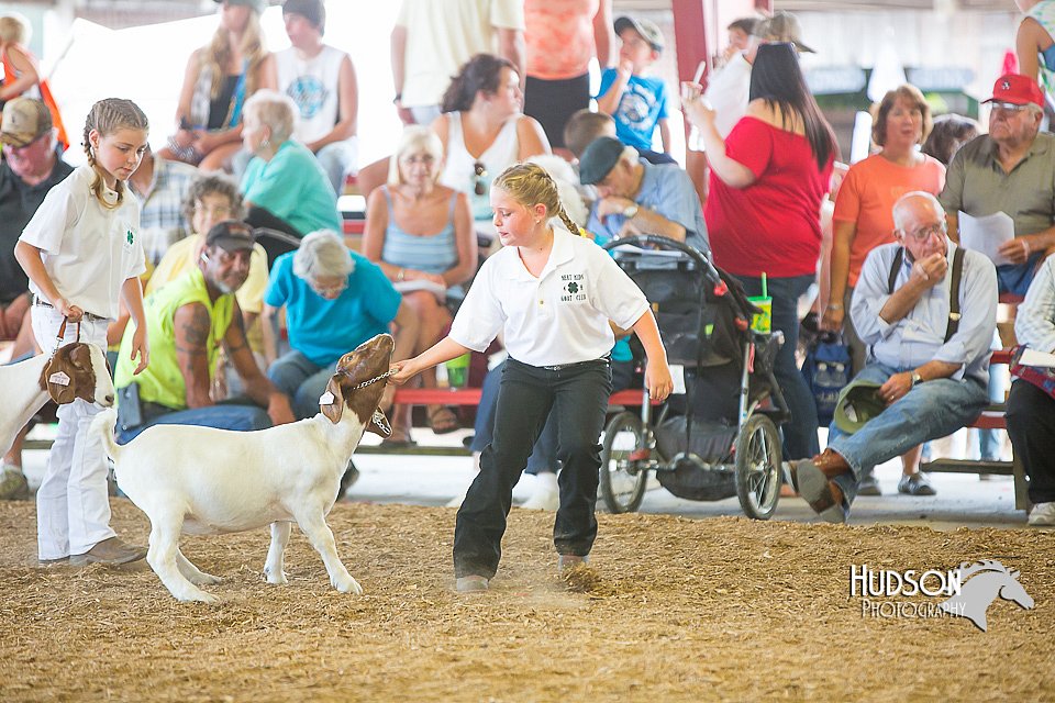 LCFAIR15-1092.jpg