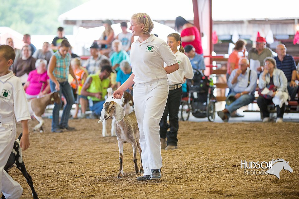LCFAIR15-1100.jpg