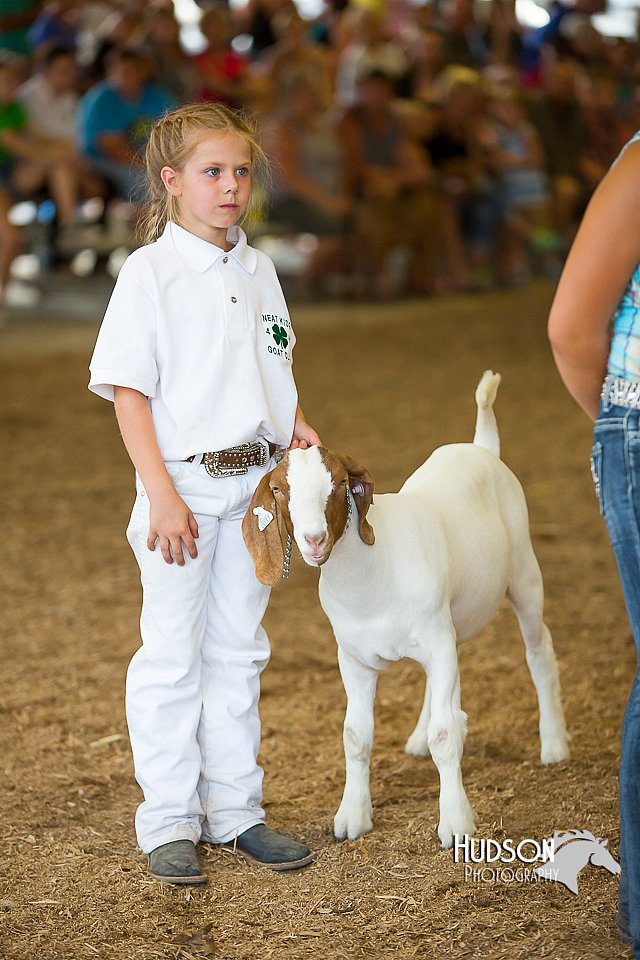 LCFAIR15-1117.jpg