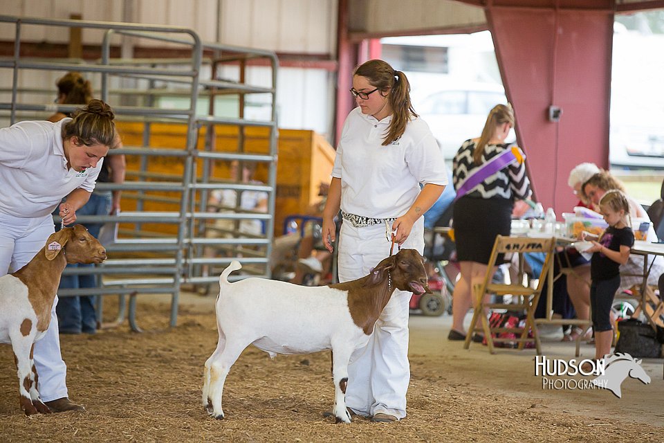 LCFAIR15-1171.jpg