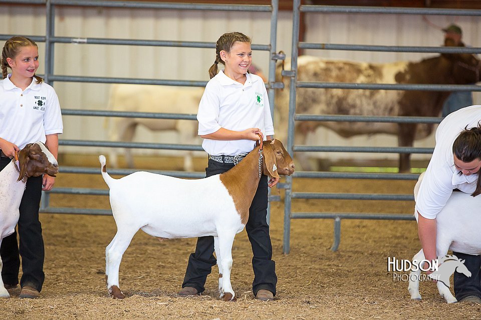 LCFAIR15-1172.jpg