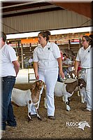 LCFAIR15-1020.jpg