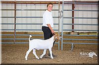 LCFAIR15-1035.jpg