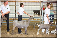 LCFAIR15-1043.jpg