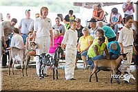 LCFAIR15-1095.jpg