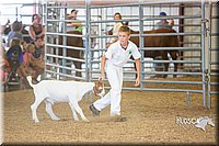 LCFAIR15-1150.jpg
