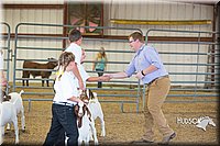 LCFAIR15-1199.jpg