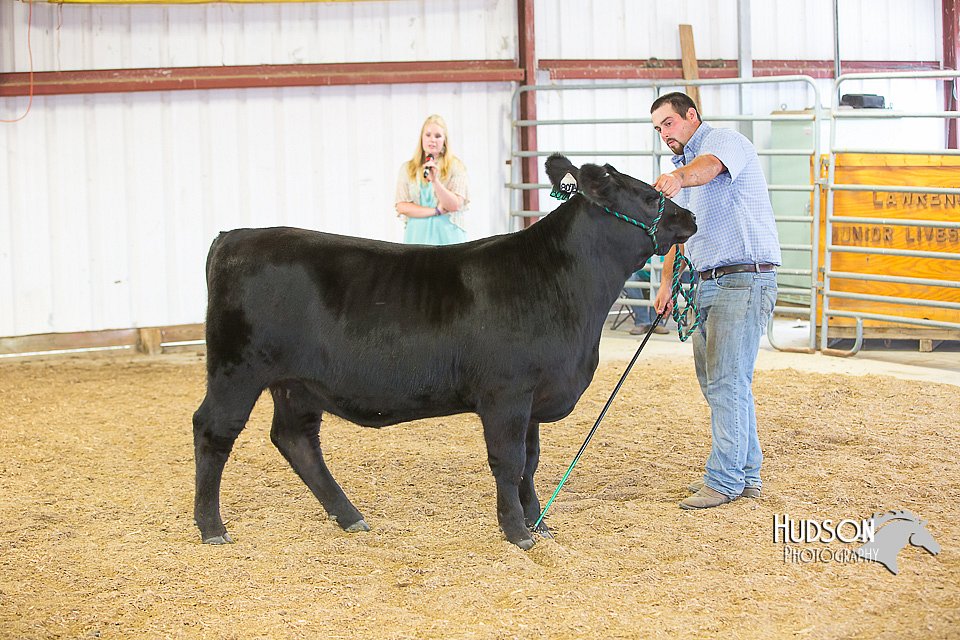LCFAIR15-1203.jpg