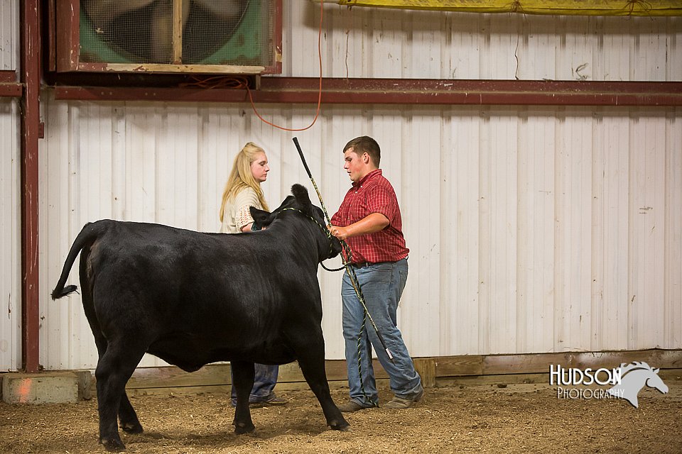 LCFAIR15-1390.jpg